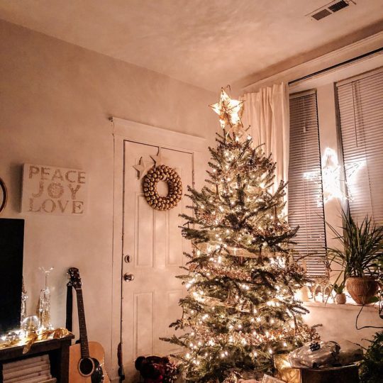 My 2019 Christmas tree