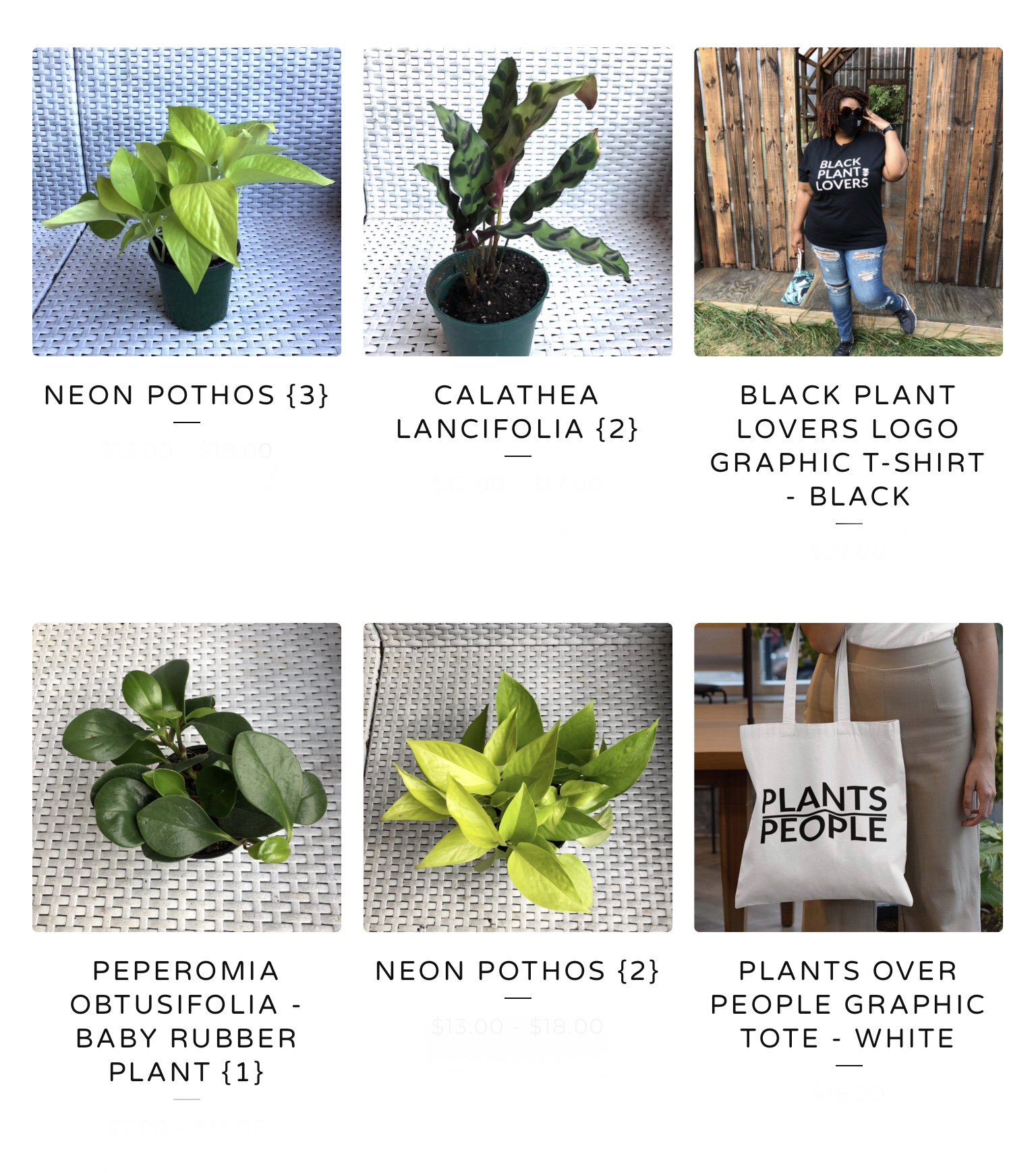 Plants and planty accessories and more 