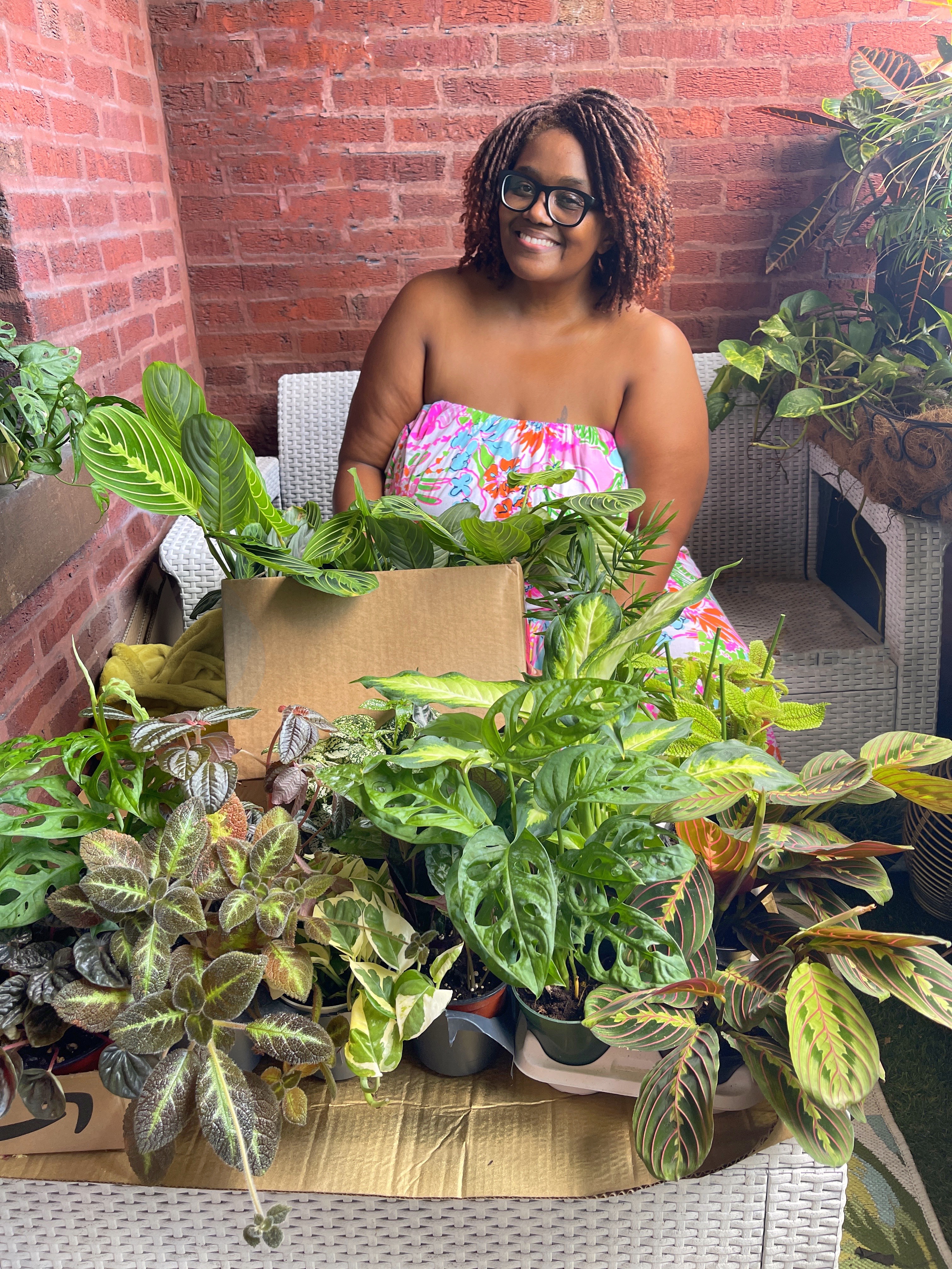 Black Plant Lovers pop up in Chicago 